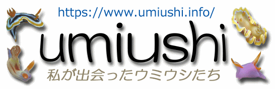 umiushi title logo